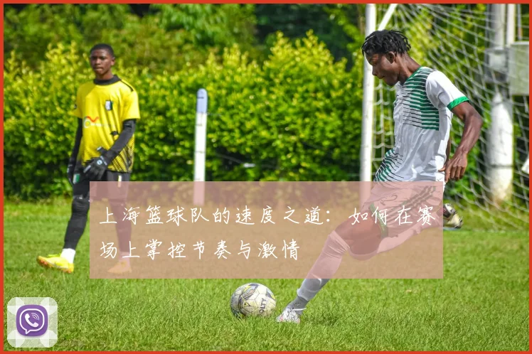 上海篮球队的速度之道：如何在赛场上掌控节奏与激情